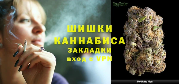 ПСИЛОЦИБИНОВЫЕ ГРИБЫ Переславль-Залесский