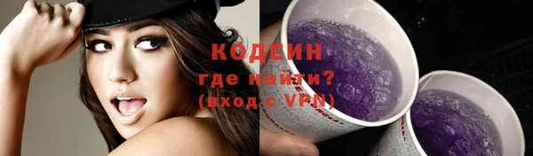 крисы Баксан