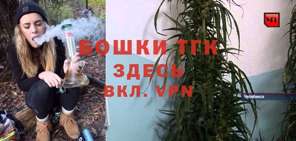 крисы Баксан