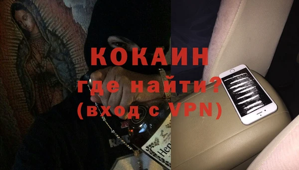 крисы Баксан